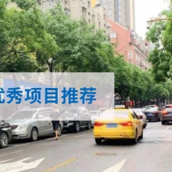 【优秀项目】南京市主城区停车供需矛盾系统治理方案研究